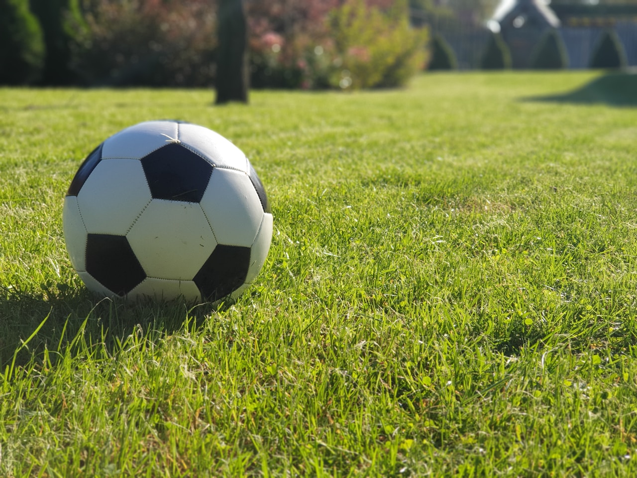 Prediksi Bola Ganjil Genap Sekarang: Tips Menang Mudah